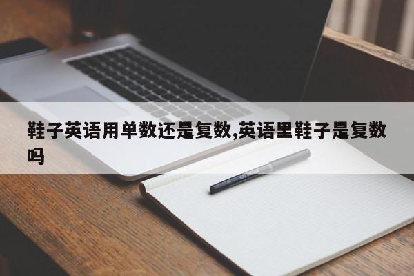 鞋子英语用单数还是复数,英语里鞋子是复数吗