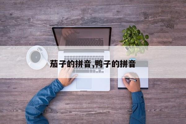 茄子的拼音,鸭子的拼音