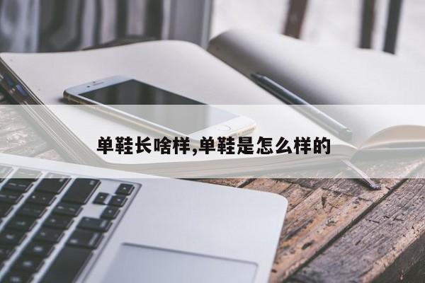 单鞋长啥样,单鞋是怎么样的