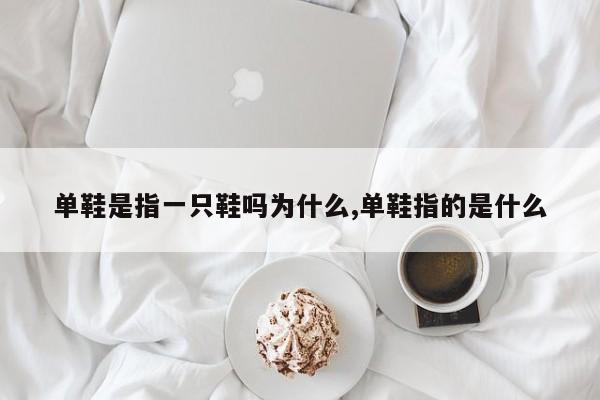单鞋是指一只鞋吗为什么,单鞋指的是什么